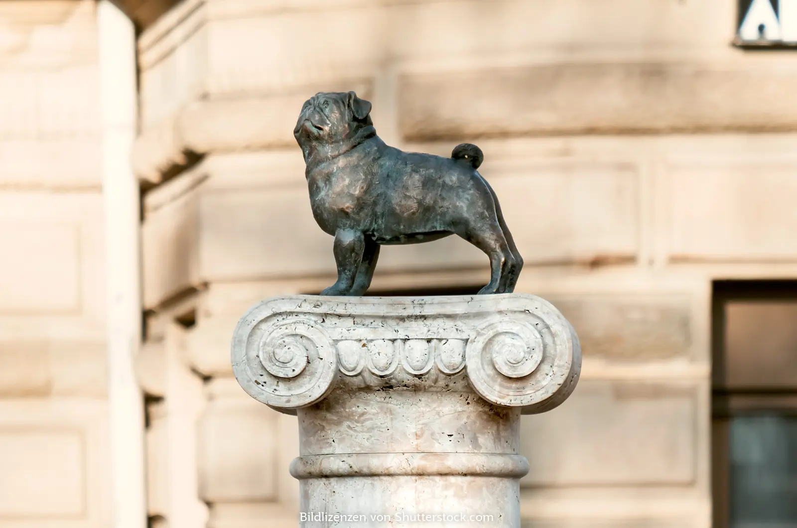 Das Loriot Denkmal in Stuttgart zeigt eine Mops auf einer Säule. Loriot Kartenspiel, ASS Altenburger